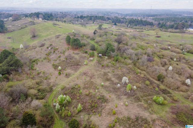 700 SARDIS ROAD, Gardendale, AL 35071