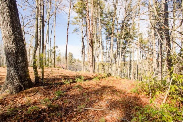 0 River Flow Drive, Dahlonega, GA 30533