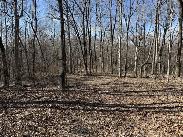 0 Hester Beasley Rd Lot 2, Nashville, TN 37221