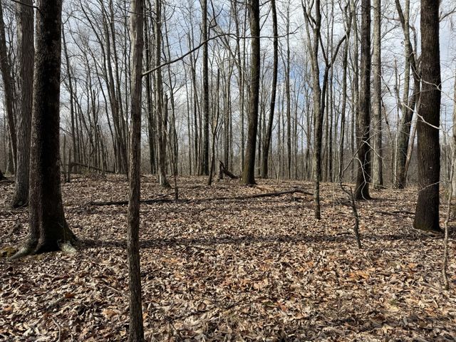 0 Hester Beasley Rd Lot 2, Nashville, TN 37221