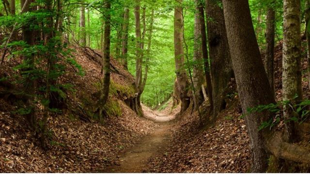 0 Hester Beasley Rd Lot 2, Nashville, TN 37221