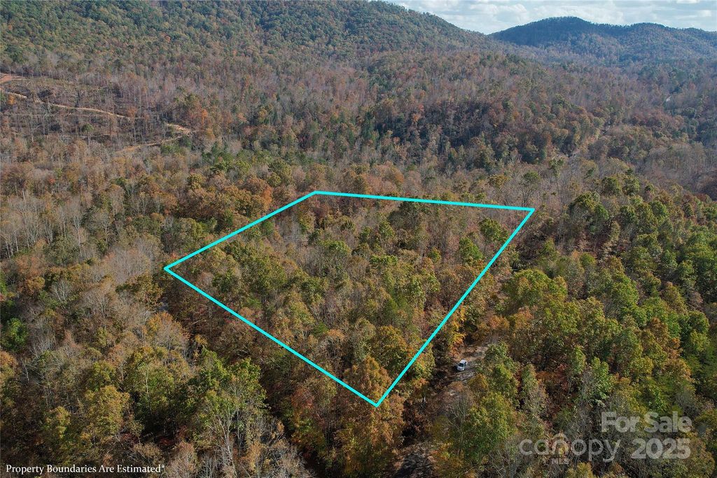 Lot 1 NC Highway 226 Highway S, Union Mills, NC 28167