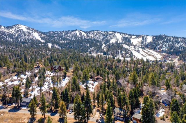 43451 Sheephorn Road, Big Bear Lake, CA 92315