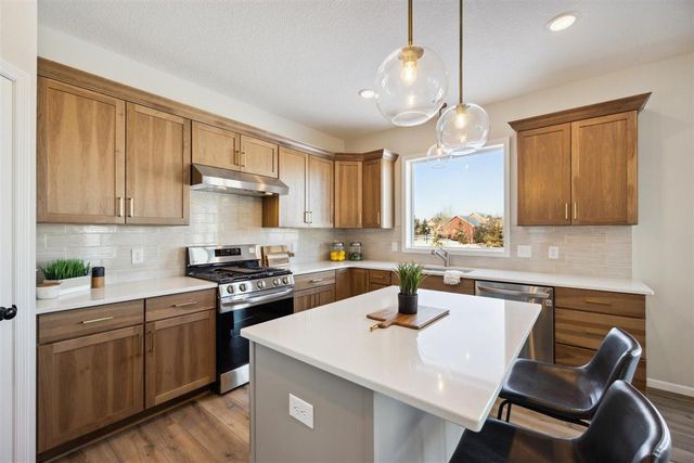 8370 159th Street, Savage, MN 55372