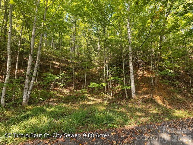 250 Turn-A-Bout Court 57, Maggie Valley, NC 28785