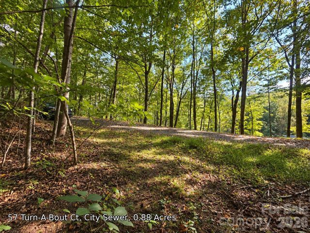 250 Turn-A-Bout Court 57, Maggie Valley, NC 28785