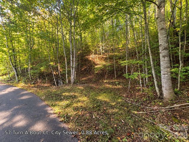 250 Turn-A-Bout Court 57, Maggie Valley, NC 28785