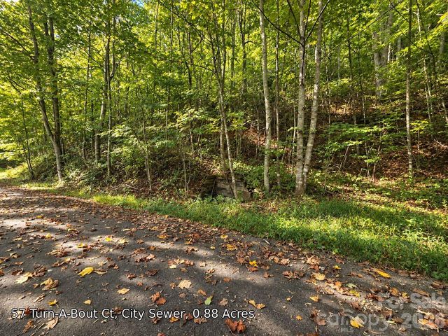 250 Turn-A-Bout Court 57, Maggie Valley, NC 28785