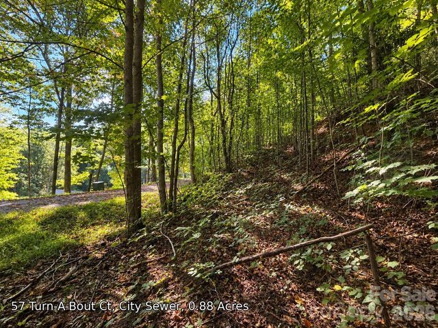 250 Turn-A-Bout Court 57, Maggie Valley, NC 28785