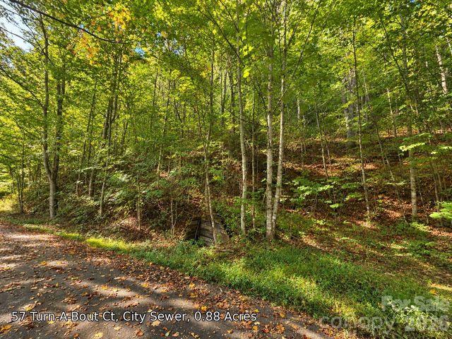 250 Turn-A-Bout Court 57, Maggie Valley, NC 28785