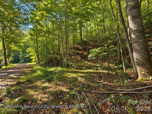 250 Turn-A-Bout Court 57, Maggie Valley, NC 28785