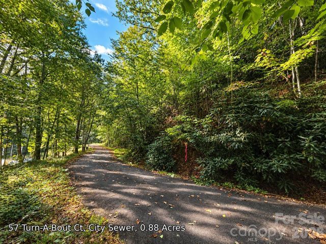250 Turn-A-Bout Court 57, Maggie Valley, NC 28785
