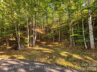 250 Turn-A-Bout Court 57, Maggie Valley, NC 28785
