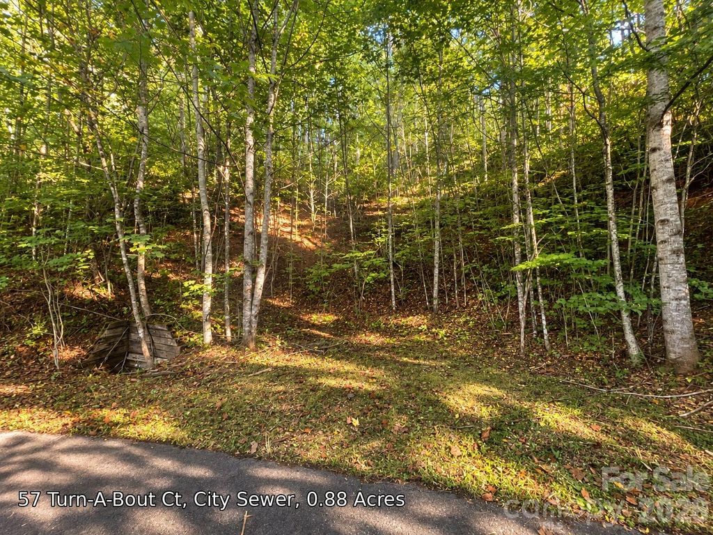 250 Turn-A-Bout Court 57, Maggie Valley, NC 28785