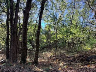 TBD County Road 517, Berryville, AR 72616