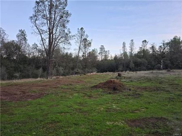 174 Hope Ln, Oroville, CA 95966