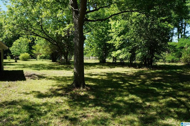 509 PORTER AVENUE, Sylacauga, AL 35150