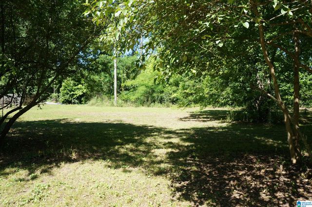 509 PORTER AVENUE, Sylacauga, AL 35150