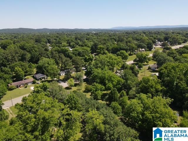 509 PORTER AVENUE, Sylacauga, AL 35150