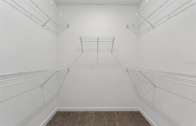 9931 TRELLIS VINE WAY, Parrish, FL 34219