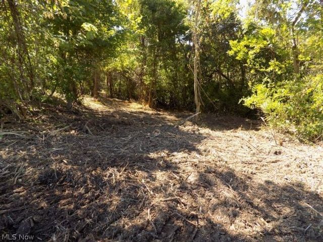 0 Maple Drive, Bridgeport, OH 43912