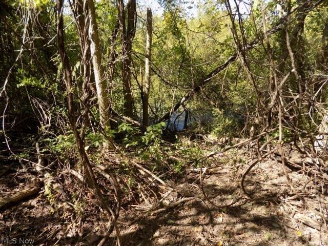 0 Maple Drive, Bridgeport, OH 43912