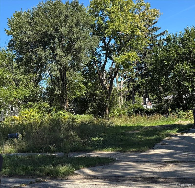 5020 Anatole Street, Detroit, MI 48236