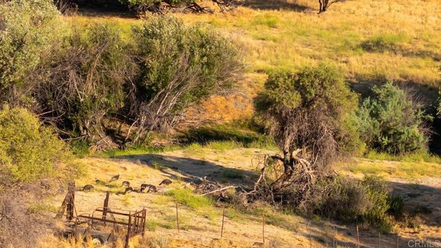 33805 Highway 94, Campo, CA 91906