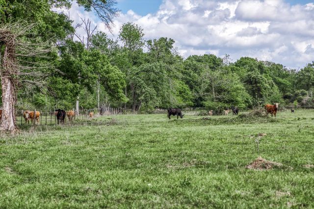 TBD Henson Road, Hempstead, TX 77445
