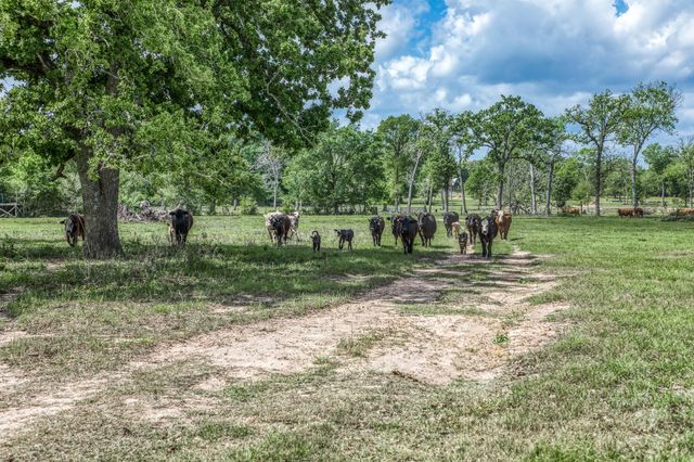 TBD Henson Road, Hempstead, TX 77445