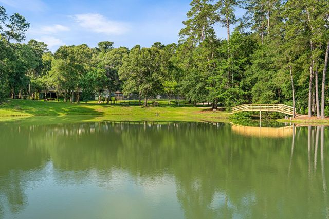 22711 Desert Willow Drive, Magnolia, TX 77355