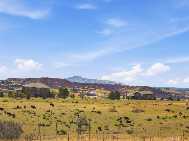 17252 Rose Mallow Ave, Parker, CO 80134