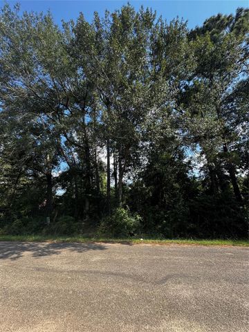 17625 Spanish Oak, Conroe, TX 77306