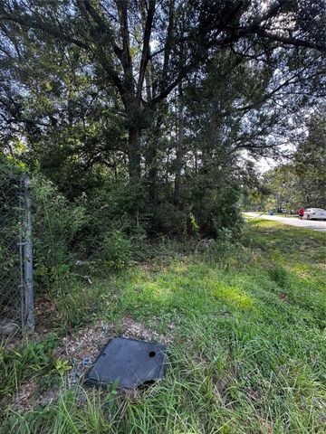 17625 Spanish Oak, Conroe, TX 77306