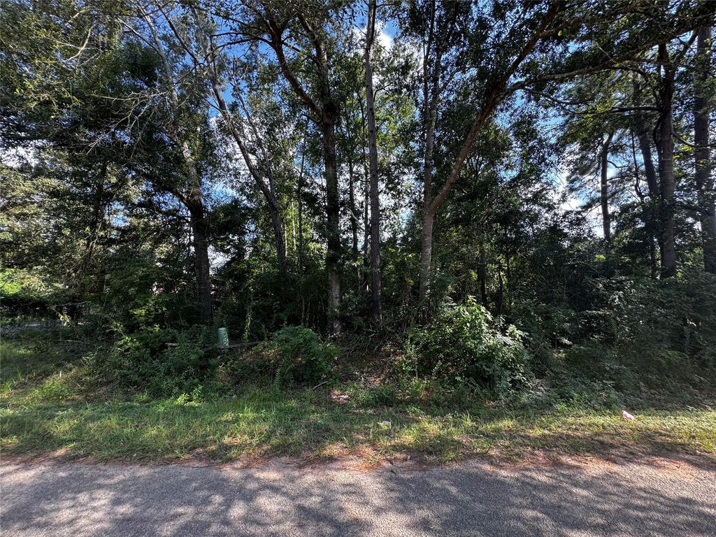 17625 Spanish Oak, Conroe, TX 77306