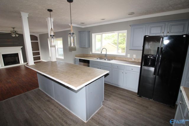 920 Nesmith Road, Guntersville, AL 35976