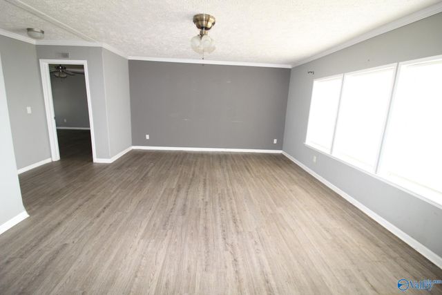 920 Nesmith Road, Guntersville, AL 35976