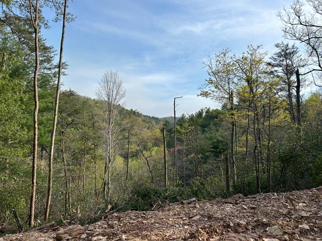 40 Acres Ivy Trail, Tellico Plains, TN 37385