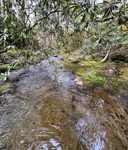 40 Acres Ivy Trail, Tellico Plains, TN 37385