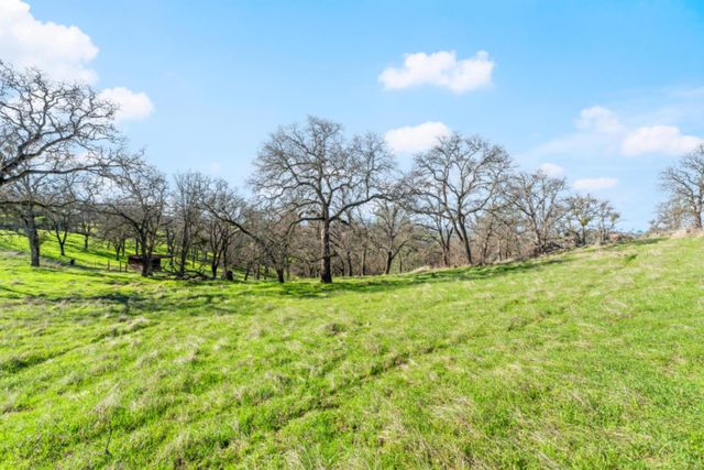8251 Buffalo Ridge Rd, Ione, CA 95640