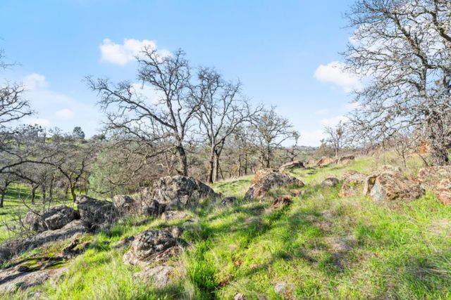 8251 Buffalo Ridge Rd, Ione, CA 95640