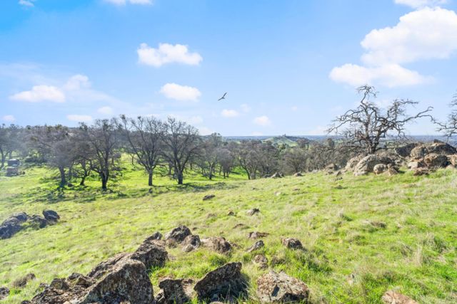 8251 Buffalo Ridge Rd, Ione, CA 95640