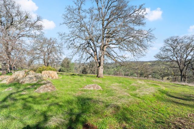 8251 Buffalo Ridge Rd, Ione, CA 95640