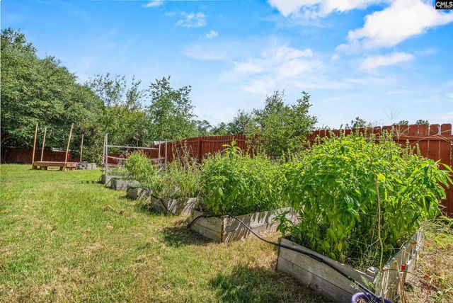 285 Baccharis Drive, Columbia, SC 29229