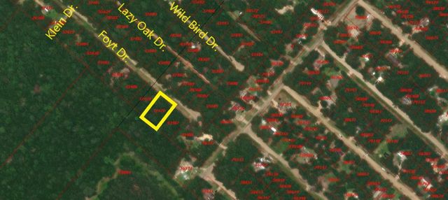 TBD Foyt Drive, Livingston, TX 77351