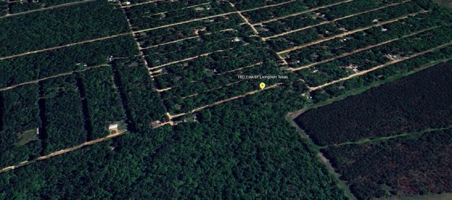 TBD Foyt Drive, Livingston, TX 77351