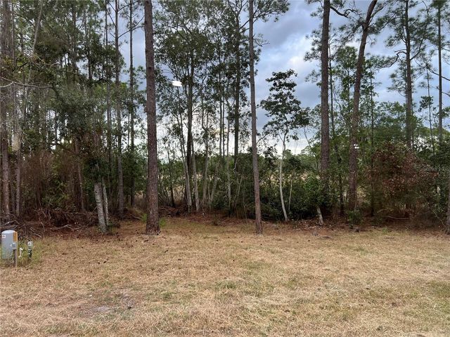 44645 TWILIGHT TRAIL, Deland, FL 32720