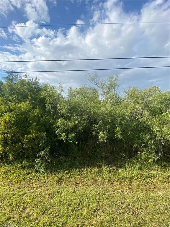 3894 Mango ST, ST. JAMES CITY, FL 33956 — photo 2
