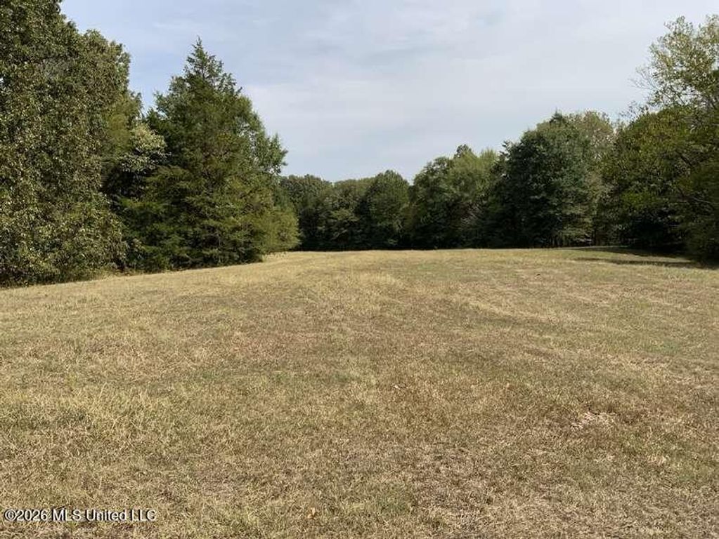 Hunters Chapel Road, Sarah, MS 38665 — photo 2