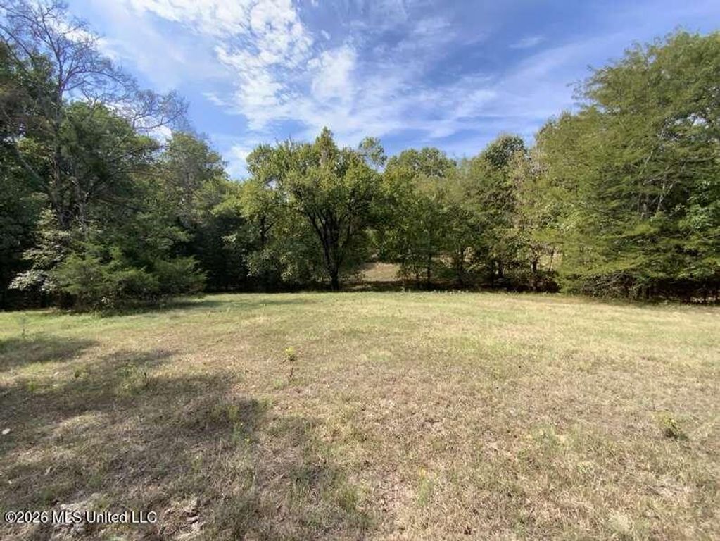 Hunters Chapel Road, Sarah, MS 38665 — photo 3